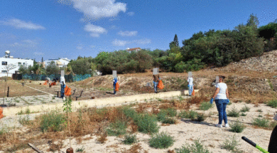 Εθελοντικός Καθαρισμός (3)