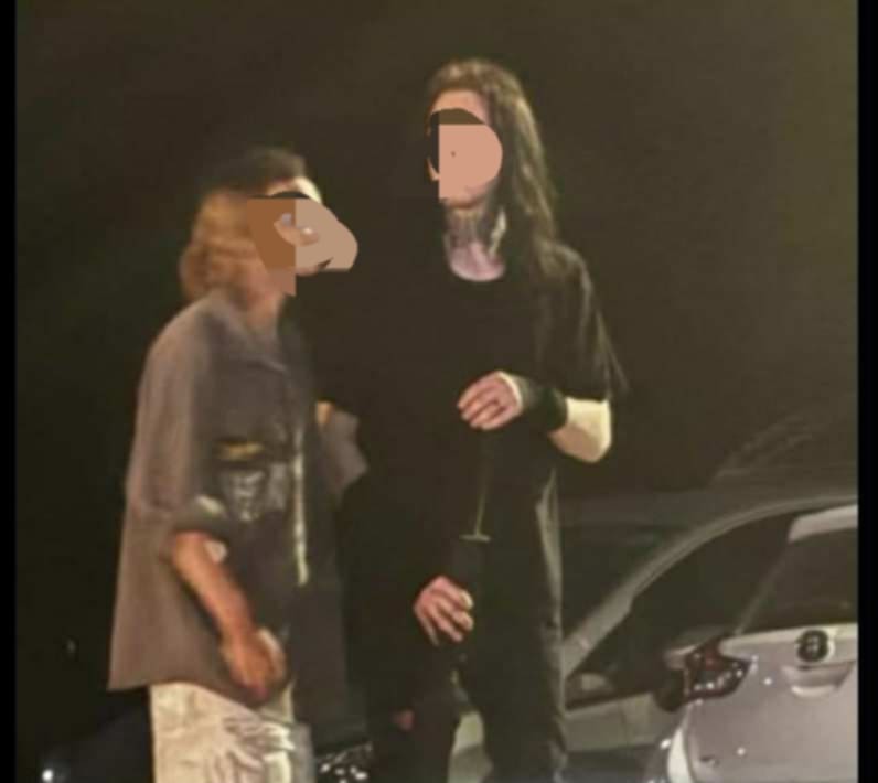 Αιρετικοί έσφαξαν γατάκι στην περιοχή Δροσιά – Από το κακό στο χειρότερο η κατάσταση