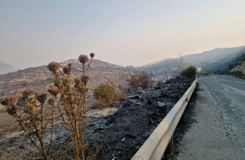Αποστολή ειδών πρώτης ανάγκης σε πυρόπληκτους από METRO Supermarkets, Λέσχη Lions Clubs International και Πολιτική Άμυνα