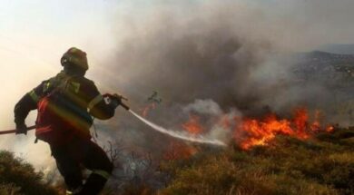 212-42573.pyrkagia-mesa-1-696×418