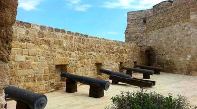 377921314_3566074843681846_3853272629872091363_n