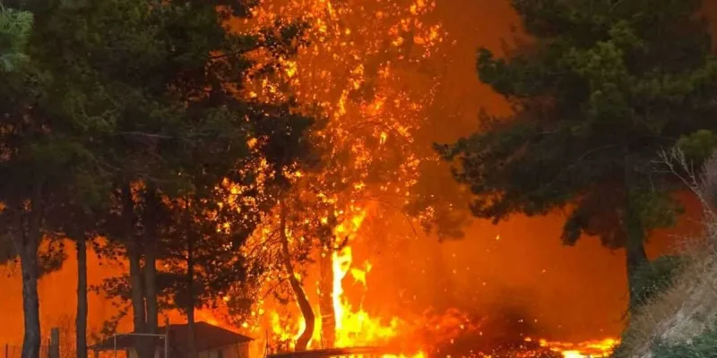 Χρίστος Σένεκης: Το επιτελικό κράτος απέτυχε – Καιγόμαστε στην ανευθυνότητά μας