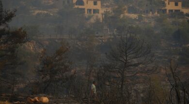 516395157_1314467304016879_3292439302550169295_n