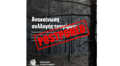 522383518_758593086705355_839233768691982262_n