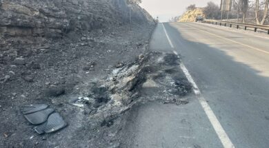 523381470_1314289154034694_8738202827397951913_n