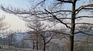 524383708_1212525030918182_6739910380423877878_n