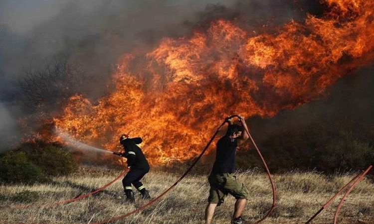 Ανακοίνωση Δήμου Αραδίππου για καταστροφικές πυρκαγιές και στήριξη των πληγέντων Ανακοίνωση Δήμου Αραδίππου για καταστροφικές πυρκαγιές και στήριξη των πληγέντων