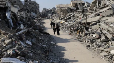 65e346a925000032009442bc-thumb (1)