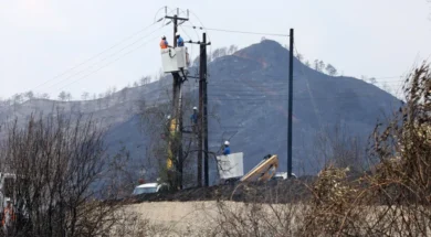 831709-large_thumbnail