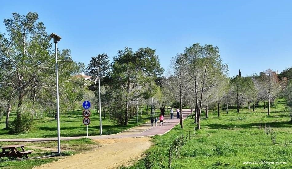Ελεγκτική: Αποκλίσεις και παραλείψεις σε έργα του Τμήματος Δασών
