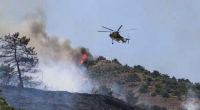 BeFunky-design-95-1024×576