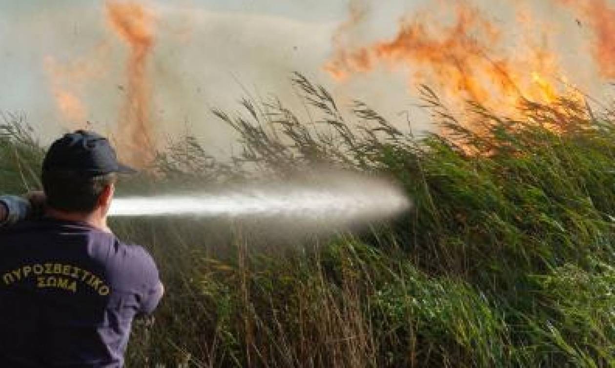 Πυρκαγιά ξέσπασε στο δρόμο Φρενάρους – Βρυσούλλων – Έκαψε ξηρά, χόρτα αποκαλάμες και άχρηστα υλικά