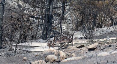 LEMESOS_PhOTIA-KUPE-KATIA.2e16d0ba.fill-1600×900