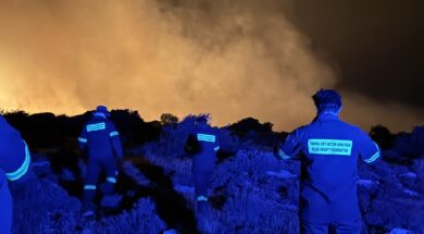 cf7413dd-f287-4a5f-8442-0af3e836af60