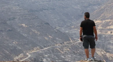 doc202507248798608fotialemesos-thumb