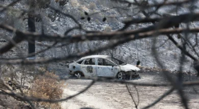 doc202507248798612fotialemesos1-thumb