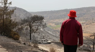 doc202507248798615fotialemesos3-thumb