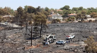 doc20250725880456101omodos05_1-thumb