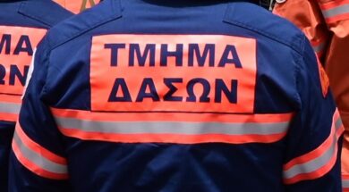 e766736fac29c5950a91952cb9e16ecd