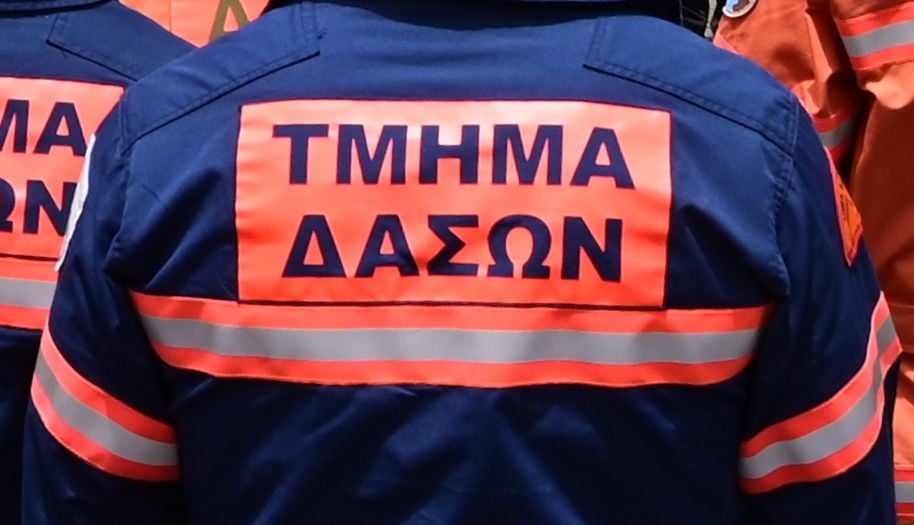 Τμ. Δασών: Άνοιξαν θέσεις για μόνιμους δασοπυροσβέστες – Δείτε τις προυποθέσεις