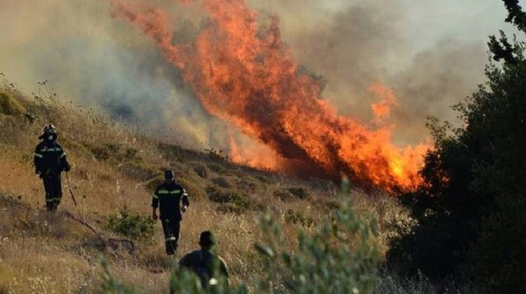 Φωτιά στο κρατικό δάσος στα Κλαυδιά – Προκλήθηκε από σμυρίλιο