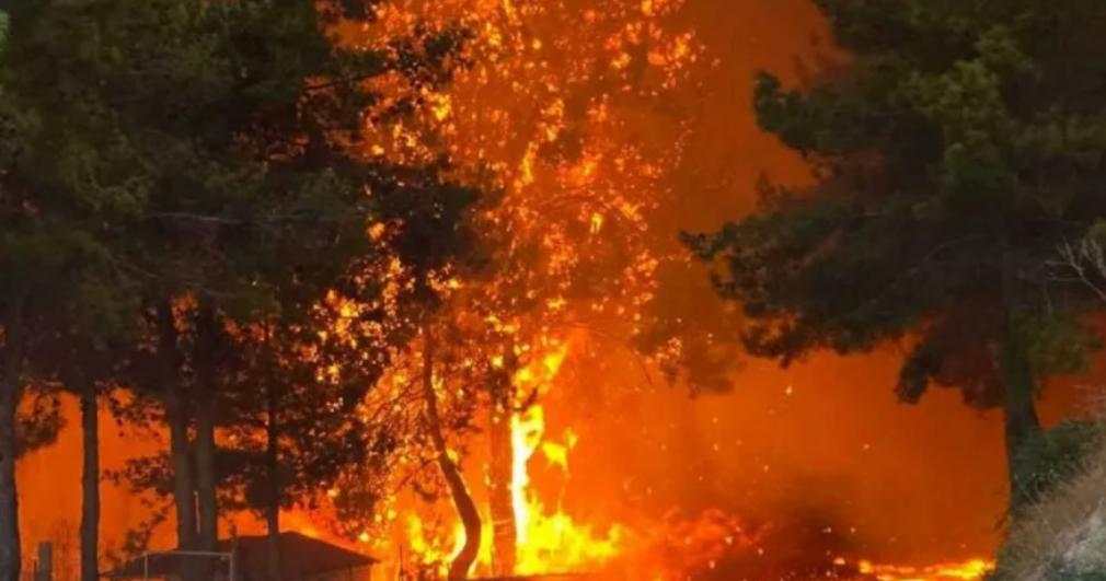 Σπουδαία κίνηση ανθρωπιάς από τον Άρη Λεμεσού – Προσφέρει 100.000 ευρώ στους πληγέντες