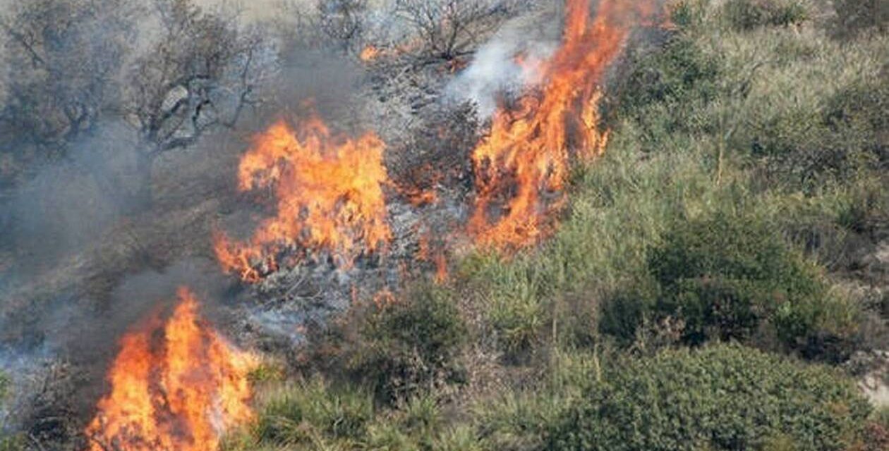 Σύστημα έγκαιρης ανίχνευσης πυρκαγιών εγκαθίσταται στον Δήμο Παραλιμνίου