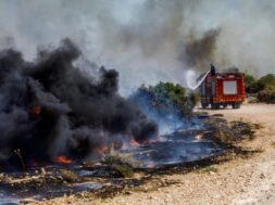 gettyimages-kypros-pyrkagia