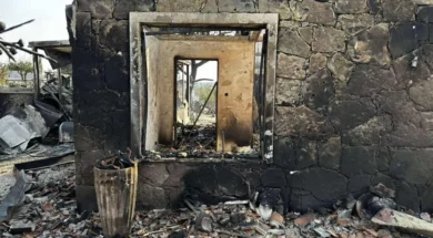 kamena-lemesou-1024×700