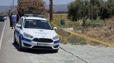 paphos_phonosfw-large_thumbnail