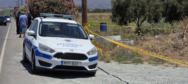 paphos_phonosfw-large_thumbnail