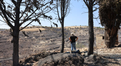ÖùôéÜ óôçí åðáñ÷ßá Ëåìåóïý – ÌáëéÜ