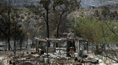 pirkagialemesos-7-696×464 (1)