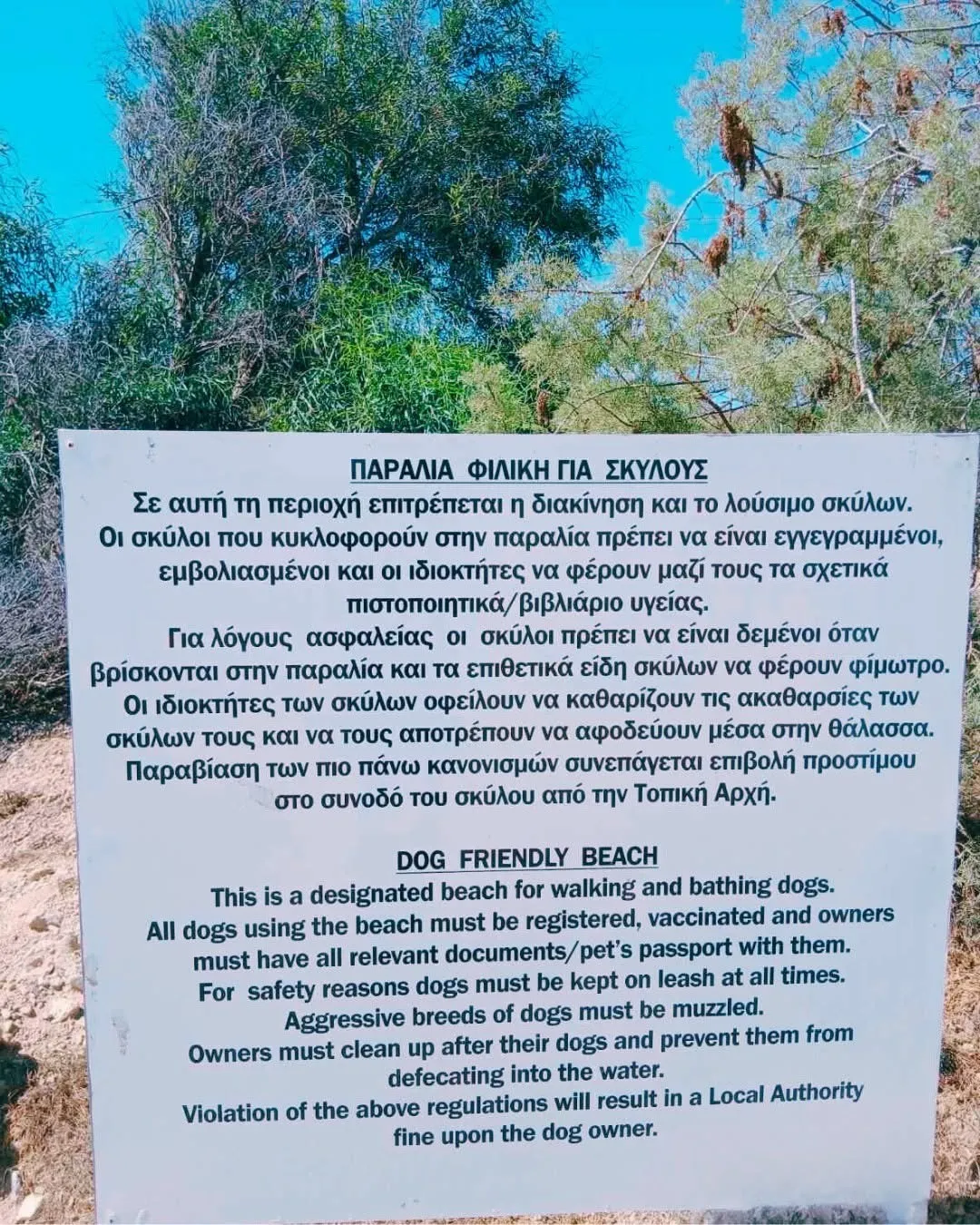 Δήμος Παραλιμνίου – Δερύνειας: Συμμορφωνόμαστε με νομοθεσίες για προστασία ζώων