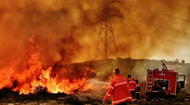 tmimadaswn-pirkagies-e1751299228152