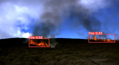 12c89fb7_tema1-thumb