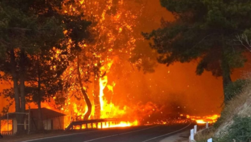 To “Hope For Children” Παρέχει Συνεχή Στήριξη στα Θύματα των Πυρκαγιών