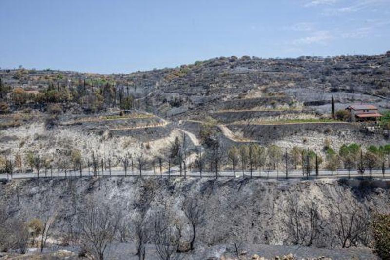 Ποσό πέραν των 20 εκ. σε πληγέντες από την πυρκαγιά αγρότες Ποσό πέραν των 20 εκ. σε πληγέντες από την πυρκαγιά αγρότες