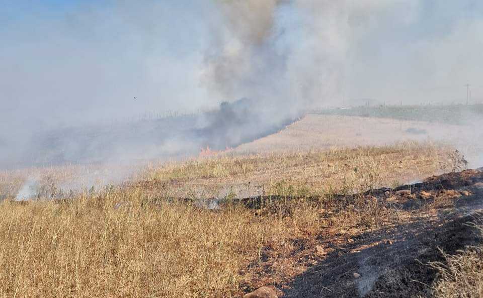 Σε εξέλιξη πυρκαγιά κοντά στην Κερύνεια