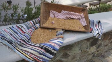 473166531_478032618661786_7849049.2e16d0ba.fil.width-800