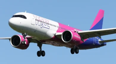 50072753761_25a8f18620_o-1-e1735677058972