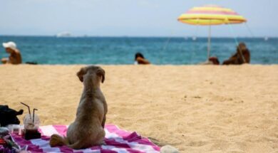 65859b51b1573592de0229940460bc08