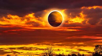 6c2e44b8a3004cbfa7c50796ec0fb952