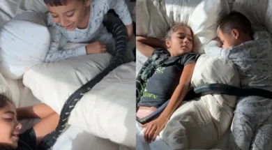 7898989867998966-thumb