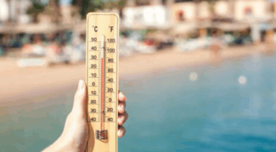 8bf850d49230efd47b39b66347e06adc