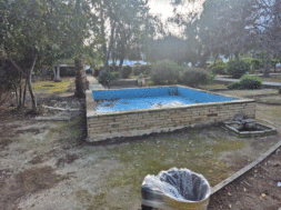 Larnaka central garden