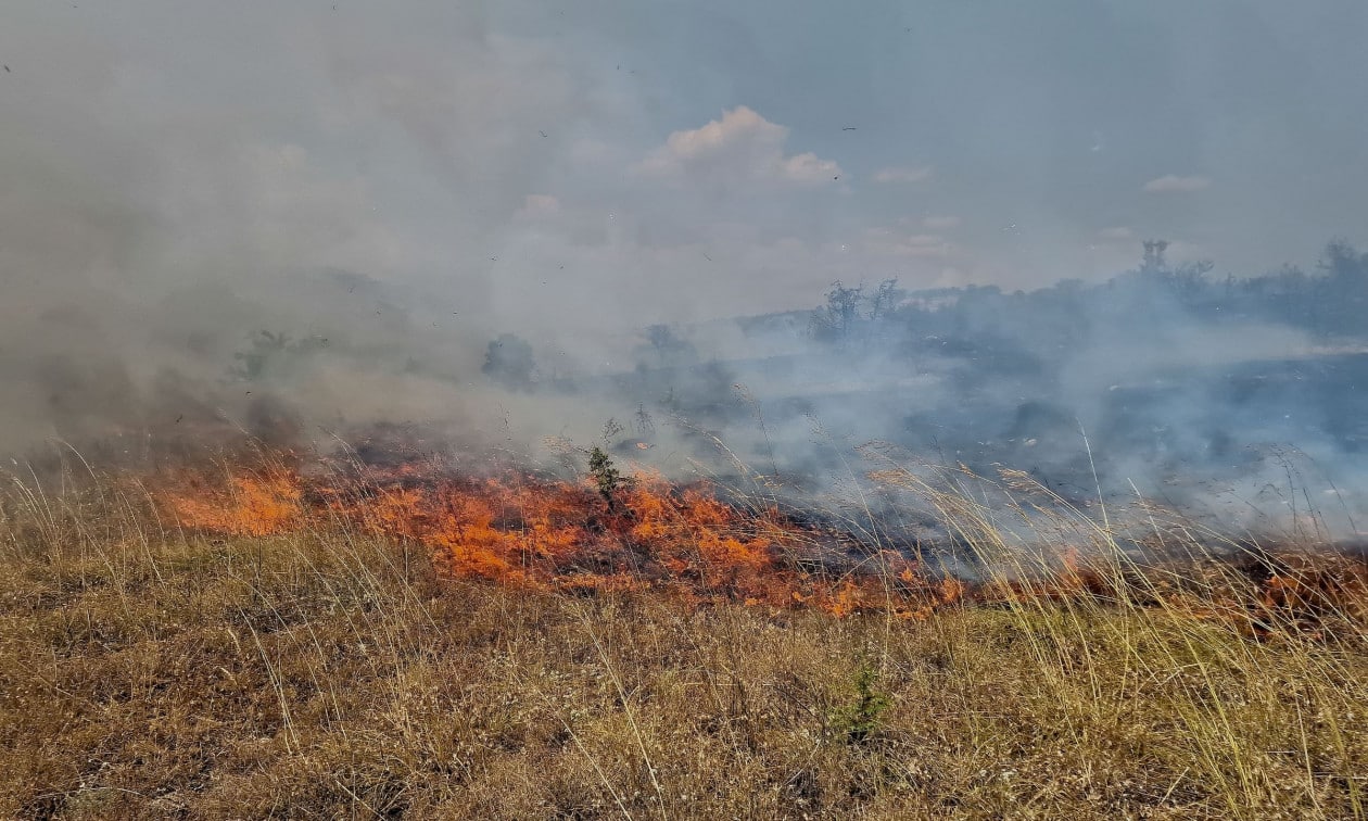 Μικρή έκταση με ξηρά χόρτα και χαμηλή βλάστηση έκαψε πυρκαγιά στις Αγγλισίδες