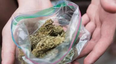 cc7a37ea82db01248c1d9c3f054dcdaf