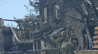 f9de567289c87445047c363f5562883c-thumb