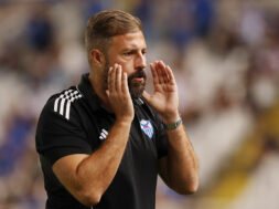 gomez-anorthosi
